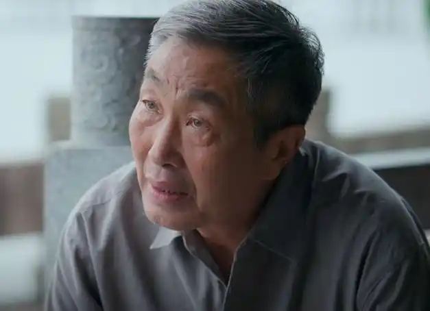 老戏骨演技令人拍案叫绝|秦海璐|保剑锋|家庭剧|都市剧|实力派演员