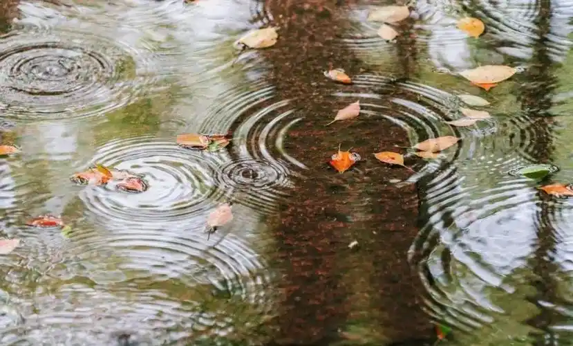 诗词中的雨,每一滴都落在心头