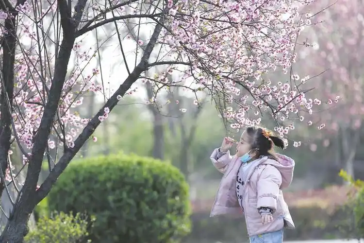 2021年02月24日星期三