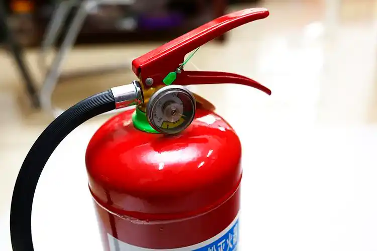 汽车车载 灭火器车用家用厂房用干粉灭火器1kg2kg4kg年检