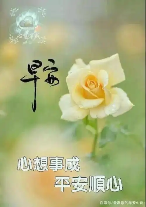 秋季早上好星期三暖心的问候句子图片 金秋最漂亮的早安问候语录