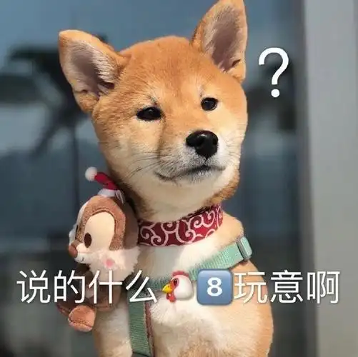 狗头表情包特辑太多了有点杂哈哈哈哈