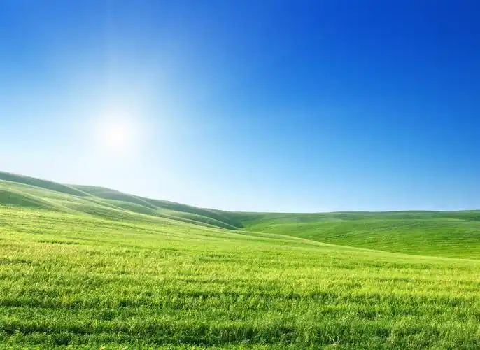 阳光灿烂夏天沙漠沙丘美丽的女子赛跑运动员慢跑克服困难女孩享受大