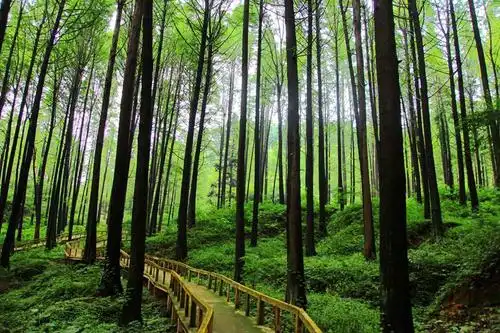 波尔登森林公园