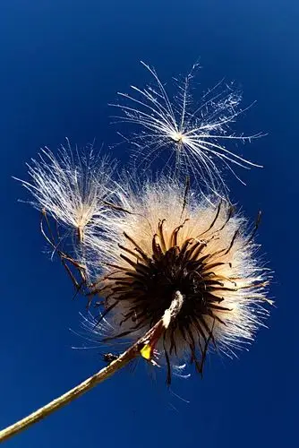 2019手机摄影 精品总结(四)