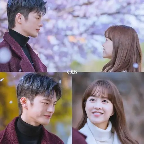 徐仁国95朴宝英的樱花94约会