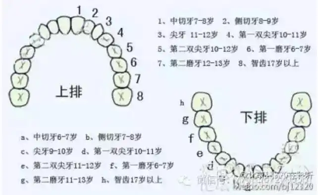 转:西安美奥口腔