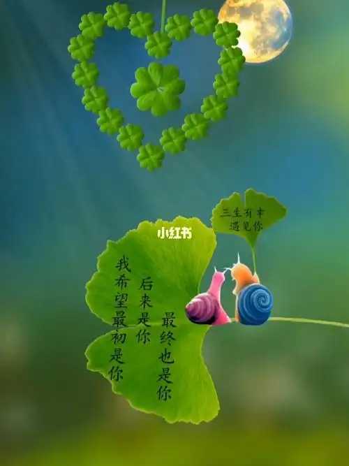 三生有幸遇见你