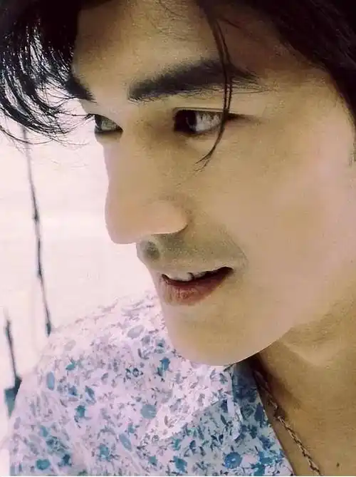 50岁金城武和49岁日本女星情人节领证金城武回应了