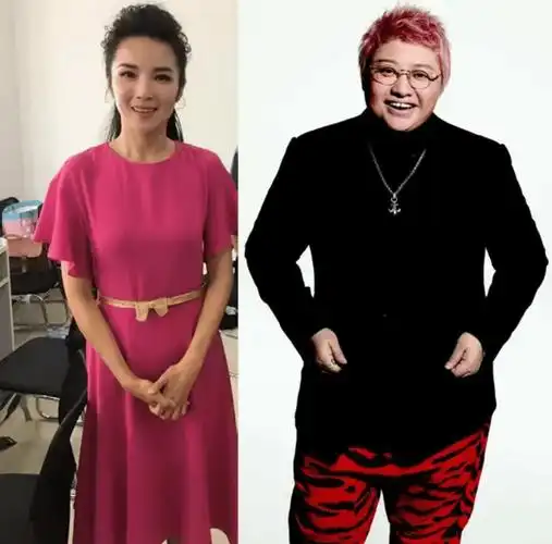 管彤:和韩红传"绯闻","被迫"公开婚姻生活,她如今怎样了?