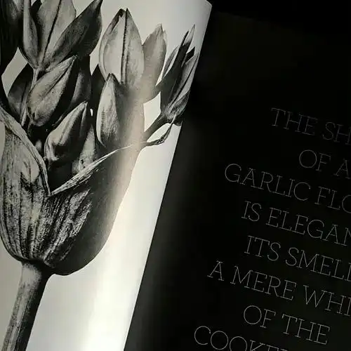 朋友圈高级感背景图(朋友圈背景图高端) - 知乎