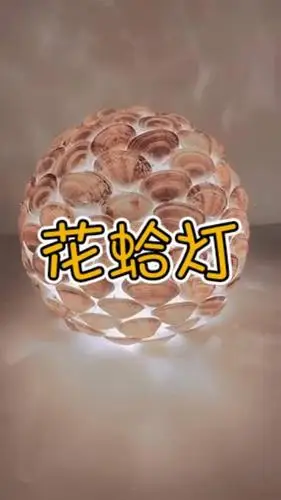 手工制作吃完花蛤壳不要丢掉晾干后做一个特别的花蛤灯吧78