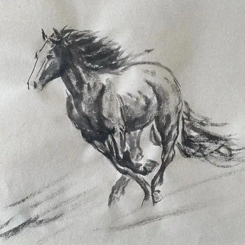 一尺小画.#画一匹骏马 #想画就画 #爱马如命 #一起学画画 - 抖音