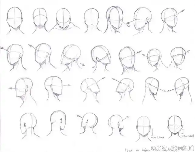 头部不同角度素材练习绘画教程