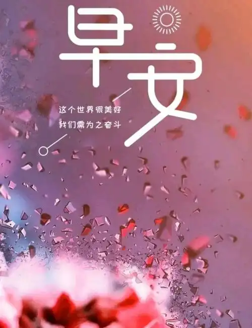 正能量早安语录,拥抱阳光,丰富内心,把生活过得简单精致!