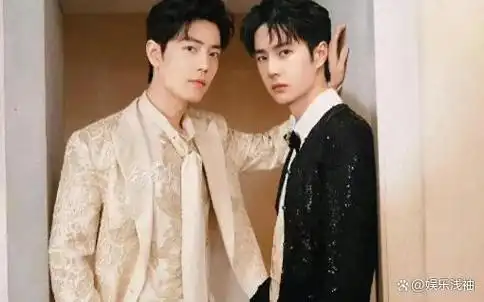 肖战王一博两位主演一同掀起了一股火潮,可以说是相当成功.