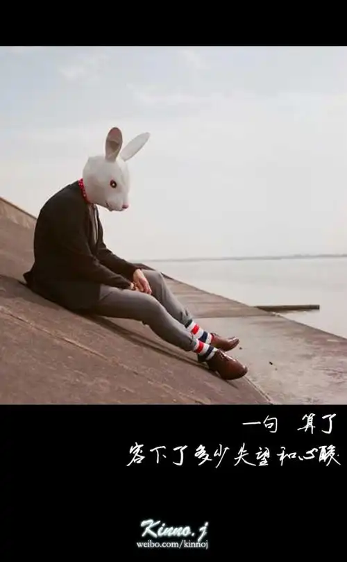 一句 算了 容下了多少失望和心酸