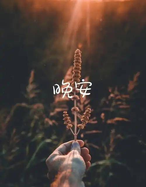 晚安正能量励志哲理人生感悟最美的晚上好问候唯美图片