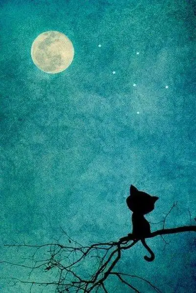 安静唯美qq皮肤背景图片_深夜的孤独在飘荡