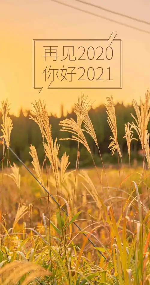 再见2020你好2021唯美图片