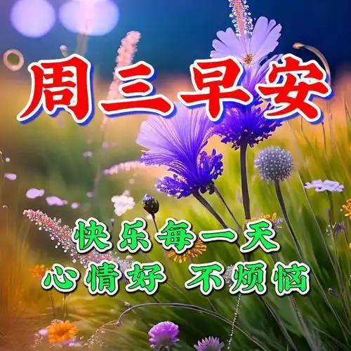 3月29日周三早上好漂亮好看早安祝福图片|快乐|清晨|幸福|祝福语_网易