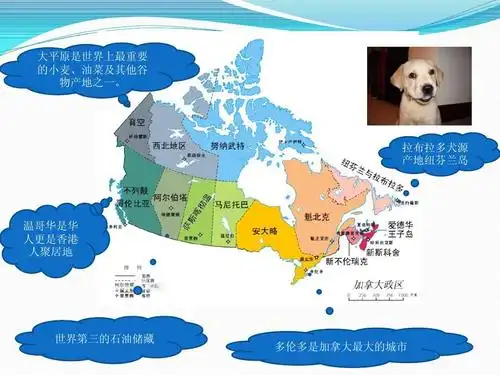 加拿大的各方面大概介绍ppt