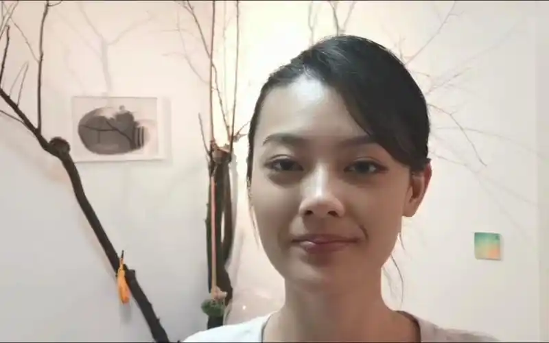 王颖飞总结调查取证的小胜利令人心动的offer