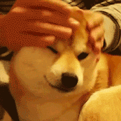 173_173gif 动态图 动图