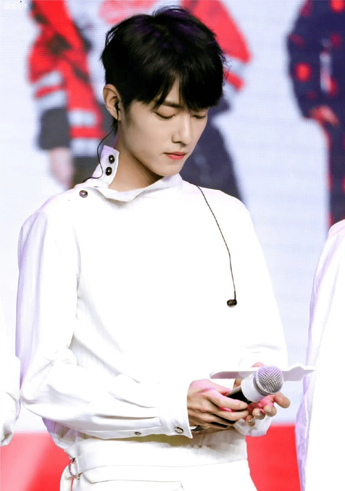 这个网站不正规,描写的是事物也都是需要马赛克的水平,有人以肖战为