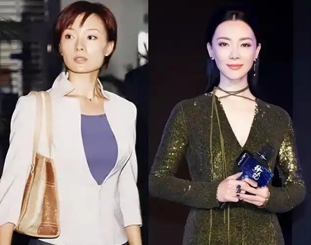 陈数是圈内整容最成功的女星之一,整容前后简直就像是换了个人一样.