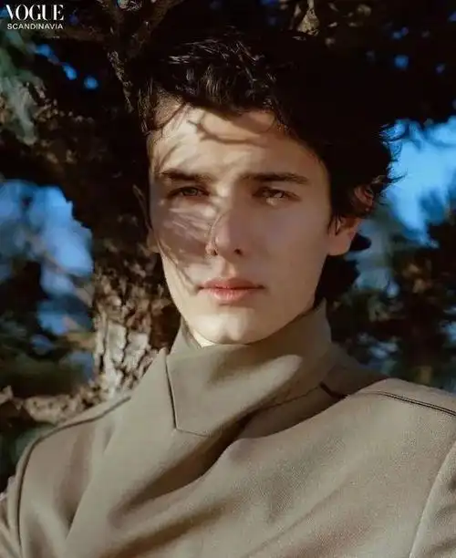 全球最帅王子精致气质最佳