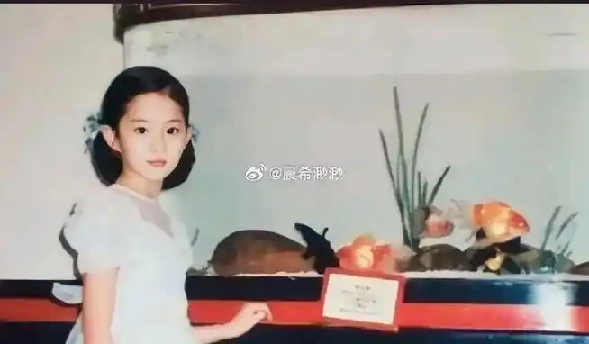 刘亦菲小时候的生活有多优越:12岁家里就有笔记本电脑,住豪华大别墅