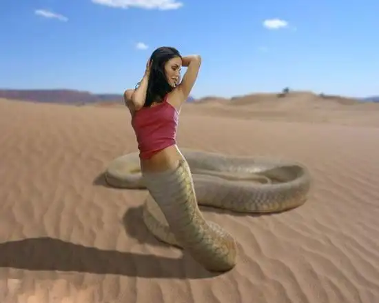 胆小者禁入! 当美女都变成人头蛇身的妖女(图)