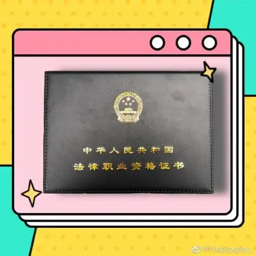 持证上岗的杠精 用毕生所学捍卫法律尊严. 来自wugxgxgxgx_ - 微博