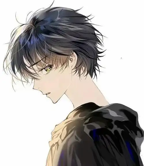 出单:黑发绿瞳男,银发绿瞳女-佩琪头像铺-话本小说网