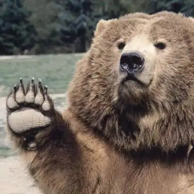 满级人类沙雕头像