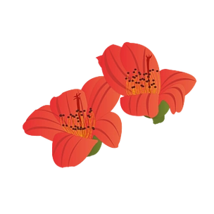 手绘木棉花元素之卡通红色植物花