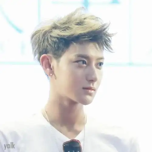 黄子韬 zitao huang的图片