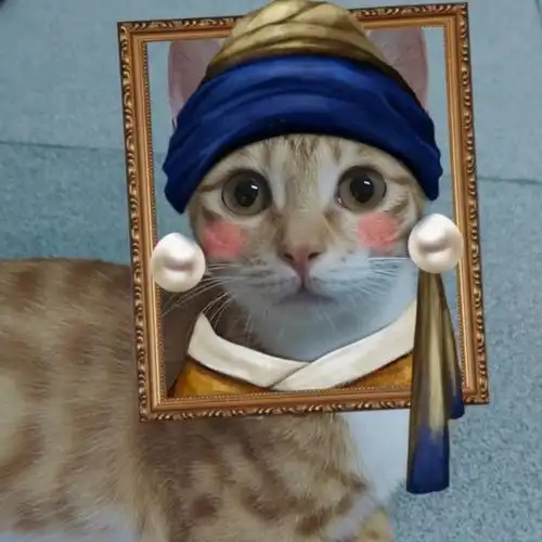 珍珠耳环的猫猫