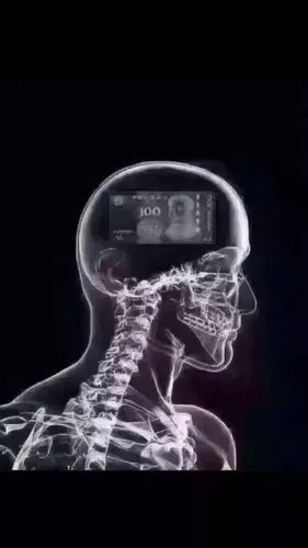 脑筋里想的满是钱