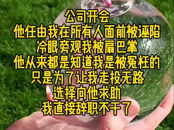 离职》:公司开会,他任由我在所有人面前被诬陷,冷眼旁观我被扇巴掌,他