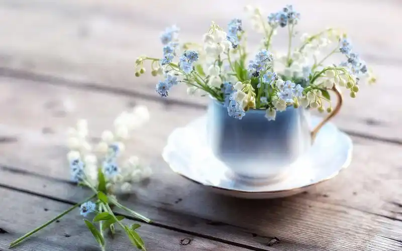 非主流清新花朵壁纸高清图片 _ 图片网