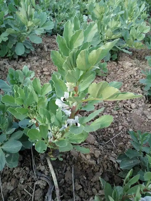 九华山2019.3.18 - 美篇