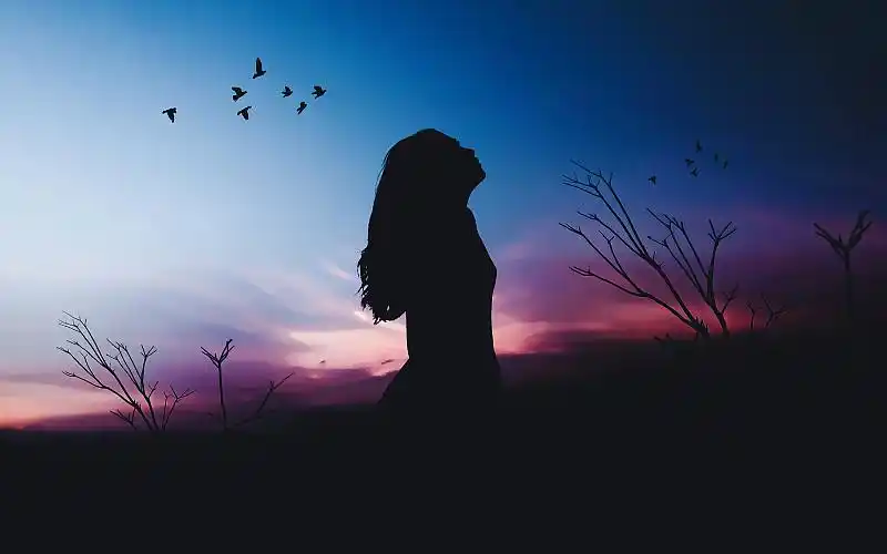 直到可以直接落在另一个人的肩膀……习惯了一个人的夕阳