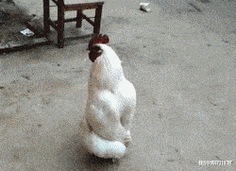 "你见过洁癖最严重的人是什么样的?"网友:一直没嫁出去