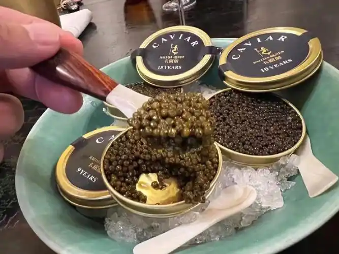 9年海博瑞鲟鱼子酱