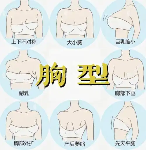 我的乳房松垮垮的,像个布袋,大小也由原来的c罩杯缩小成了b罩杯