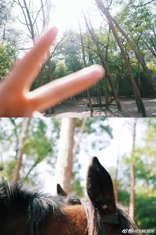 晒午后随拍#午后的阳光就是适合跟马儿一起散步呀#杨颖晒马儿剪刀手