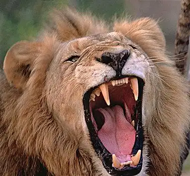 惹人厌图片_惹人厌图片大全_惹人厌图片素材