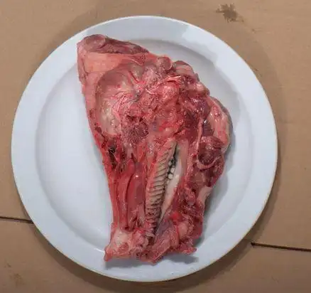 猪头骨(新鲜)
